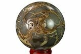Polished Septarian Sphere - Utah #167620-1